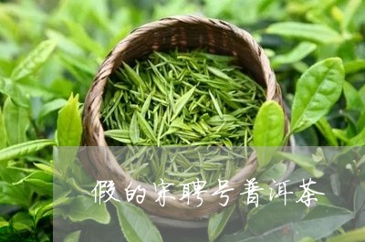 假的宋聘号普洱茶/2023031601827