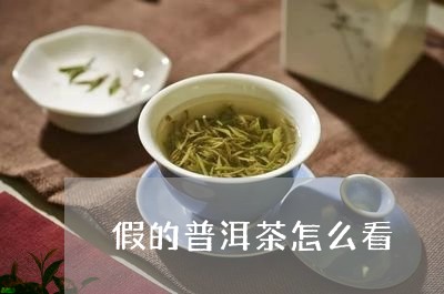 假的普洱茶怎么看/2023033030605