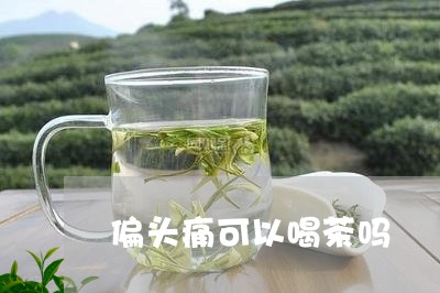 偏头痛可以喝茶吗/2023032529682