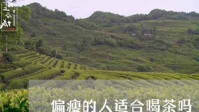 偏瘦的人适合喝茶吗/2023032049483