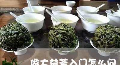 做大益茶入门怎么问/2023032256270