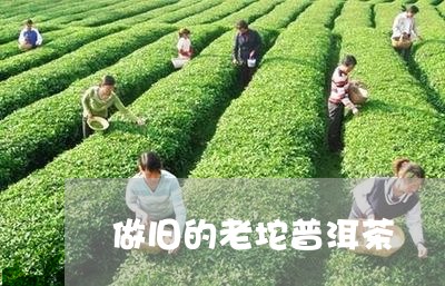 做旧的老坨普洱茶/2023033178704