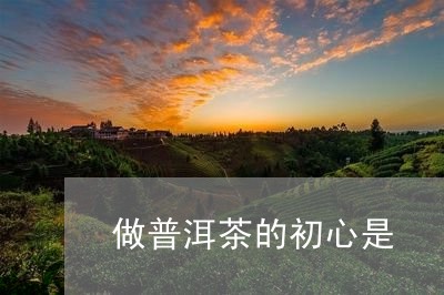 做普洱茶的初心是/2023031816370