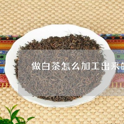 做白茶怎么加工出来的茶叶/2023040203847