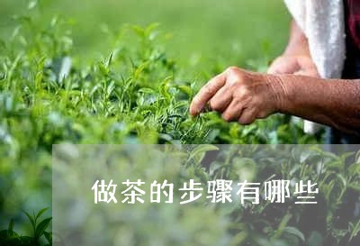 做茶的步骤有哪些/2023032472926