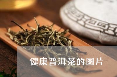 健康普洱茶的图片/2023040902606