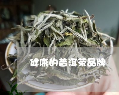 健康的普洱茶品牌/2023041261625