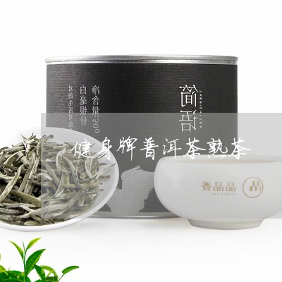 健身牌普洱茶熟茶/2023031655260