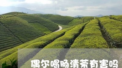 偶尔喝肠清茶有害吗/2023041559491