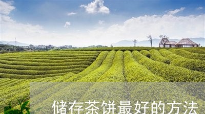 储存茶饼最好的方法/2023032093724