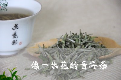 像一朵花的普洱茶/2023033057169