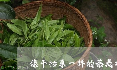 像干枯草一样的茶是寿眉吗/2023040249261