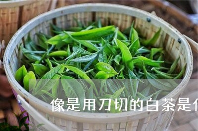 像是用刀切的白茶是什么茶/2023040291715