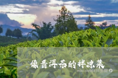 像普洱茶的拌凉菜/2023040143824