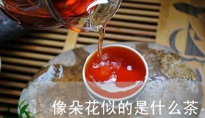 像朵花似的是什么茶/2023031904836