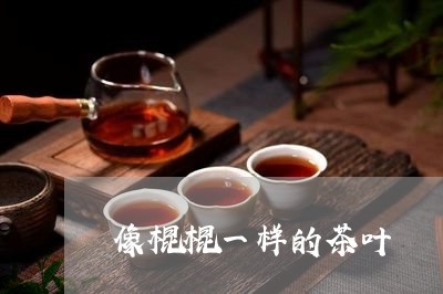 像棍棍一样的茶叶/2023032614948