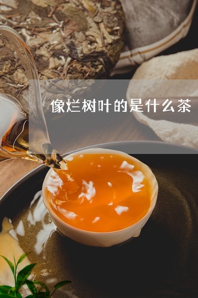 像烂树叶的是什么茶/2023041626160