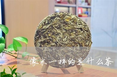 像米一样的是什么茶/2023031946382