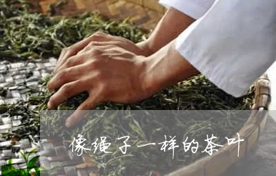 像绳子一样的茶叶/2023032658369