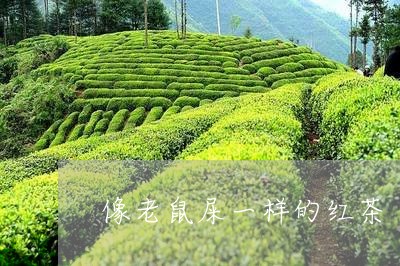 像老鼠屎一样的红茶/2023041507482