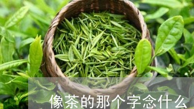 像茶的那个字念什么/2023032122959