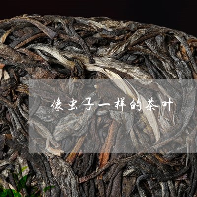 像虫子一样的茶叶/2023032601949