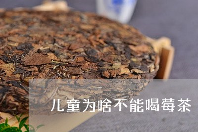 儿童为啥不能喝莓茶/2023031882925