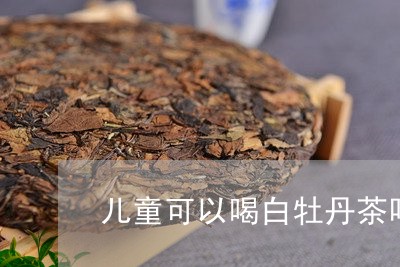 儿童可以喝白牡丹茶吗六岁/2023040234936