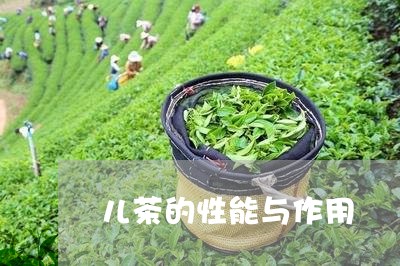 儿茶的性能与作用/2023032425057