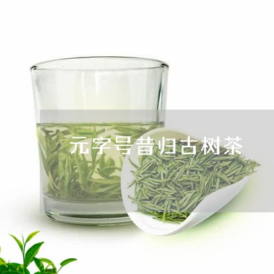 元字号昔归古树茶/2023032571936