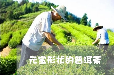 元宝形状的普洱茶/2023040976159