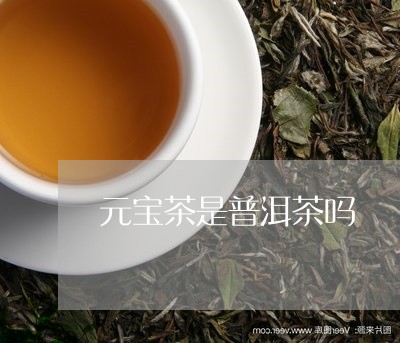 元宝茶是普洱茶吗/2023041102038