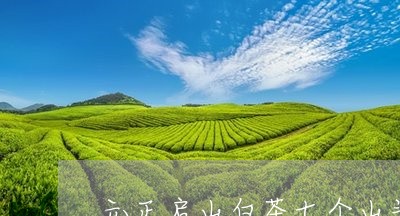 元正启山白茶七个山头价格/2023040254838