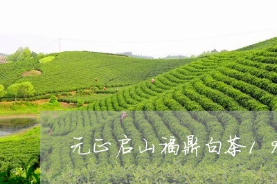 元正启山福鼎白茶1938/2023033057161