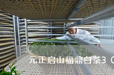 元正启山福鼎白茶300克/2023033095049