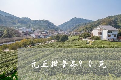 元正柑普茶90克/2023032600717