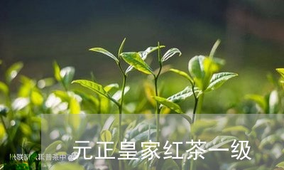 元正皇家红茶一级/2023032387362