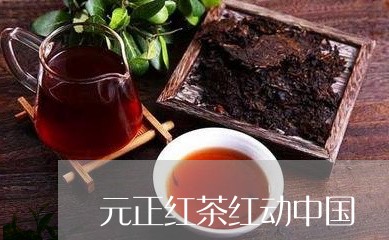 元正红茶红动中国/2023032313262