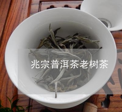 兆宗普洱茶老树茶/2023041168315