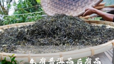 先有普洱茶后有茶/2023031791939