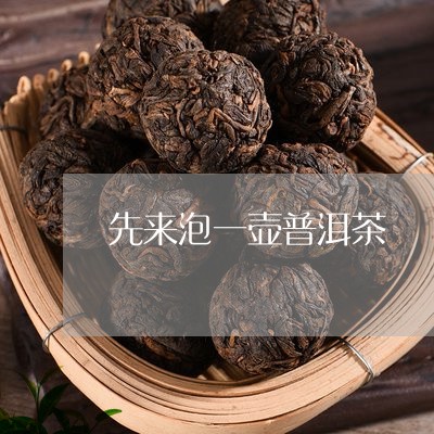 先来泡一壶普洱茶/2023033150704