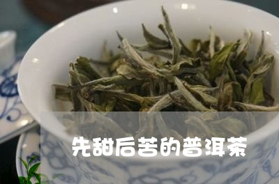 先甜后苦的普洱茶/2023031619713