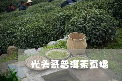 光头哥普洱茶直播/2023031613947