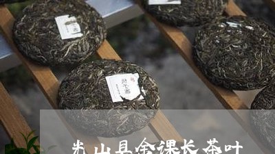 光山县金课长茶叶/2023032621484