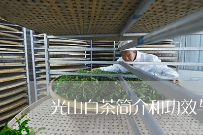 光山白茶简介和功效与作用/2023040213737