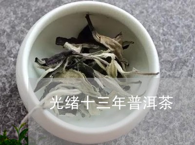 光绪十三年普洱茶/2023031783726