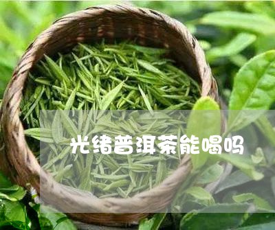 光绪普洱茶能喝吗/2023040197471