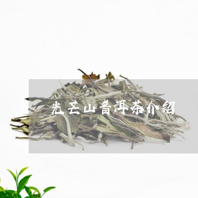 光芒山普洱茶介绍/2023040902824