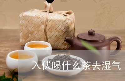 入伏喝什么茶去湿气/2023041564057