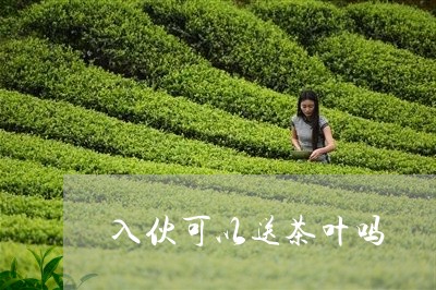 入伙可以送茶叶吗/2023032650528